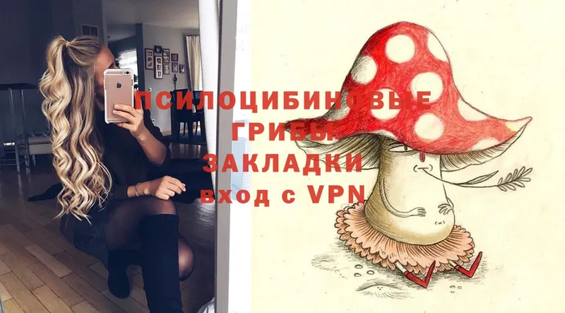 цены   Арамиль  OMG как войти  Галлюциногенные грибы Psilocybine cubensis 